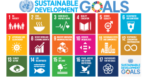Circular Challenge - sustainable development goals