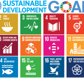 Circular Challenge - sustainable development goals