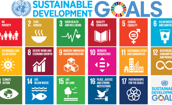 Circular Challenge - sustainable development goals