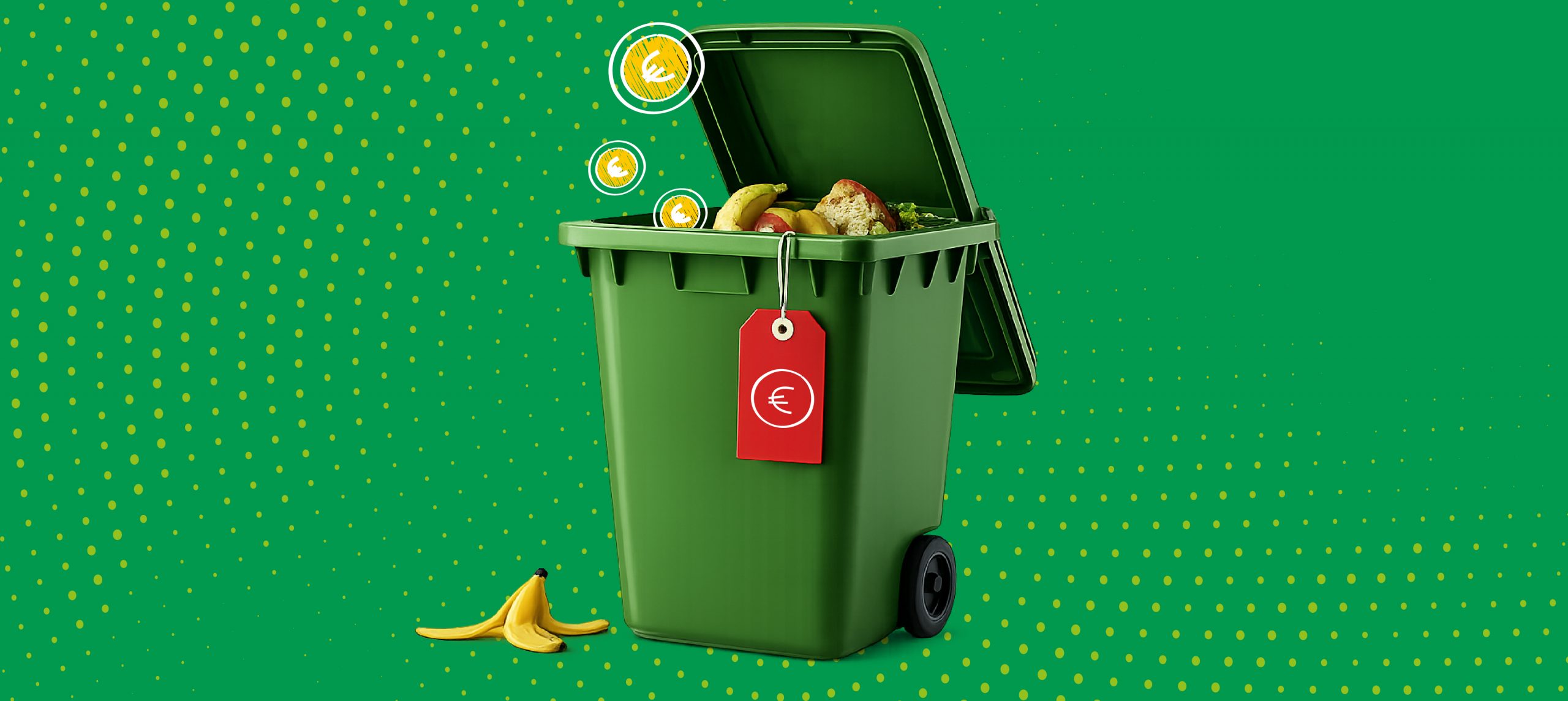 Il cibo che butti è denaro